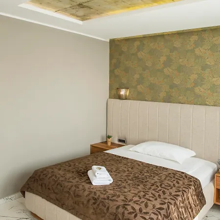 Отель Garni Boutique Arta 3*
