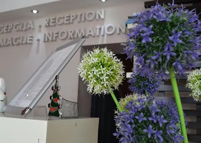 Garni Boutique Arta 3* Novi Sad