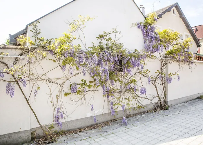 Garni Boutique Arta 3* Novi Sad